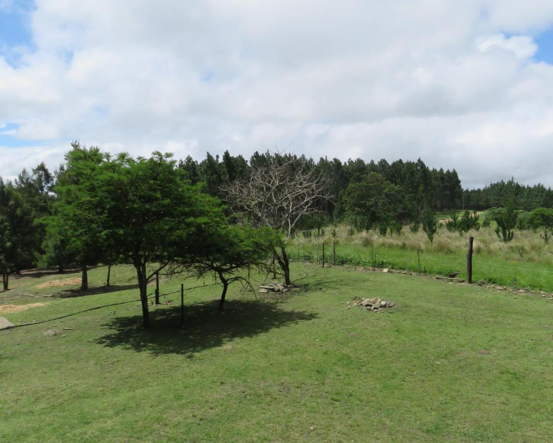 Misty View Farm Stay Layitemeni Екстериор снимка